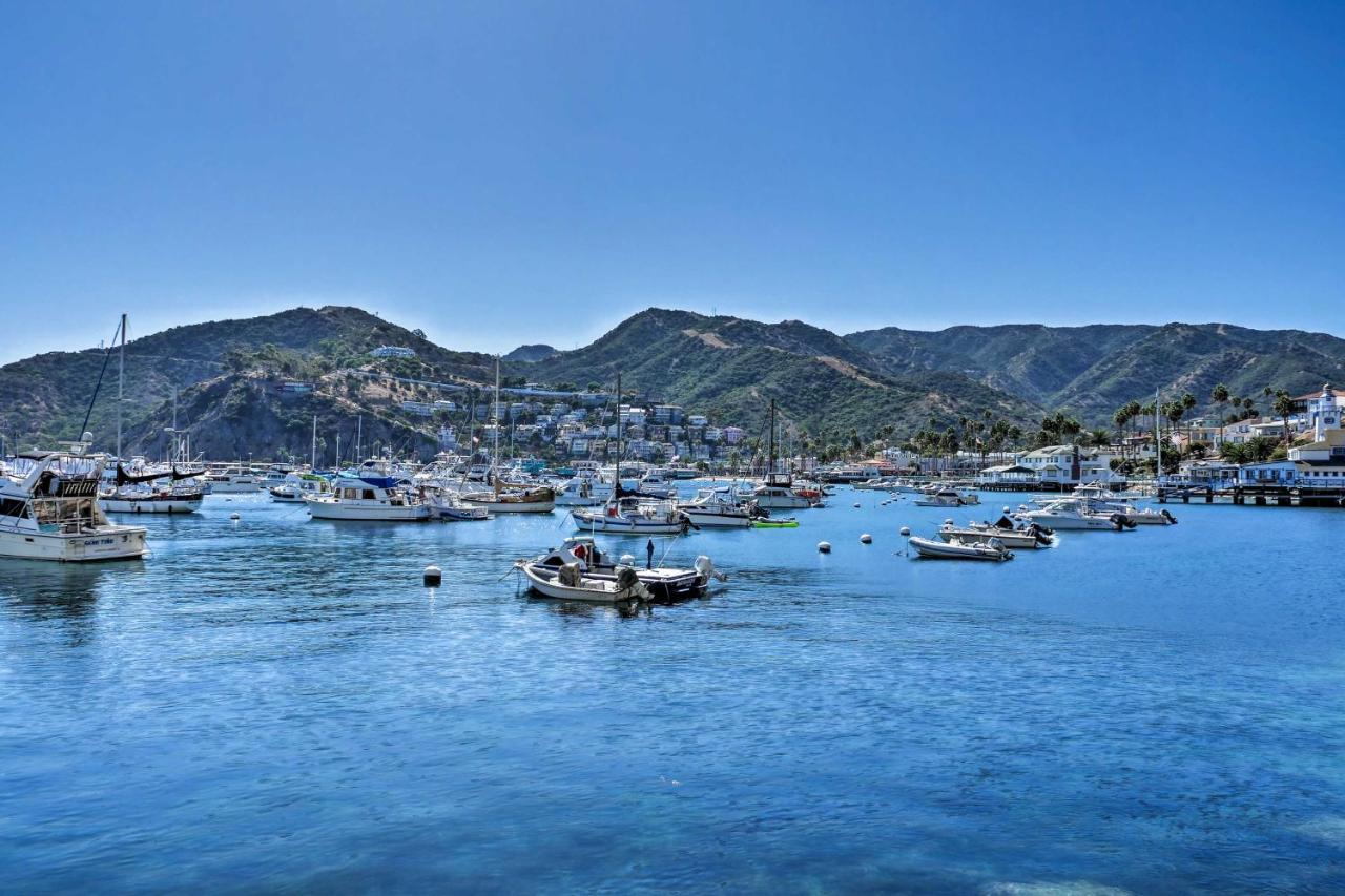 Lux Oceanfront Penthouse Suite Wpanoramic Views Avalon Extérieur photo